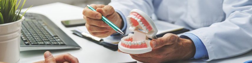 a dentist showing a patient a model of teeth