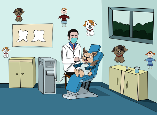 Leo receiving a dental checkup